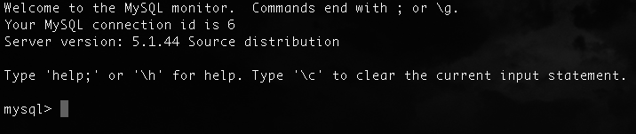 MySql wurde über das Terminal (Konsole) aufgerufen